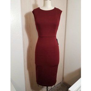 Express Sleeveless Fitted Dress